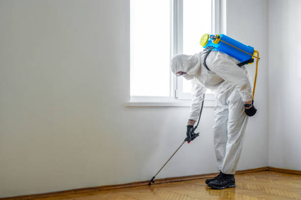 Best Emergency Pest Control  in Beattyville, KY