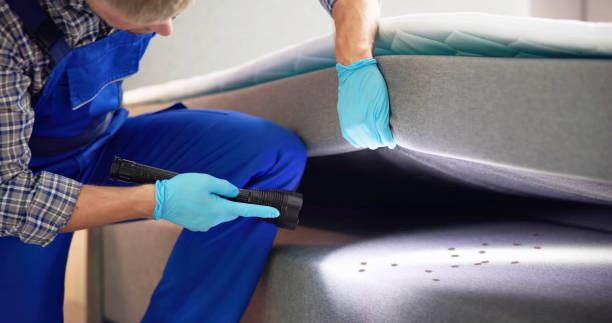 Best Pest Control for Homes  in Beattyville, KY
