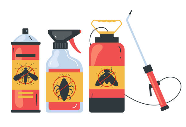 Insect Control in Beattyville, KY